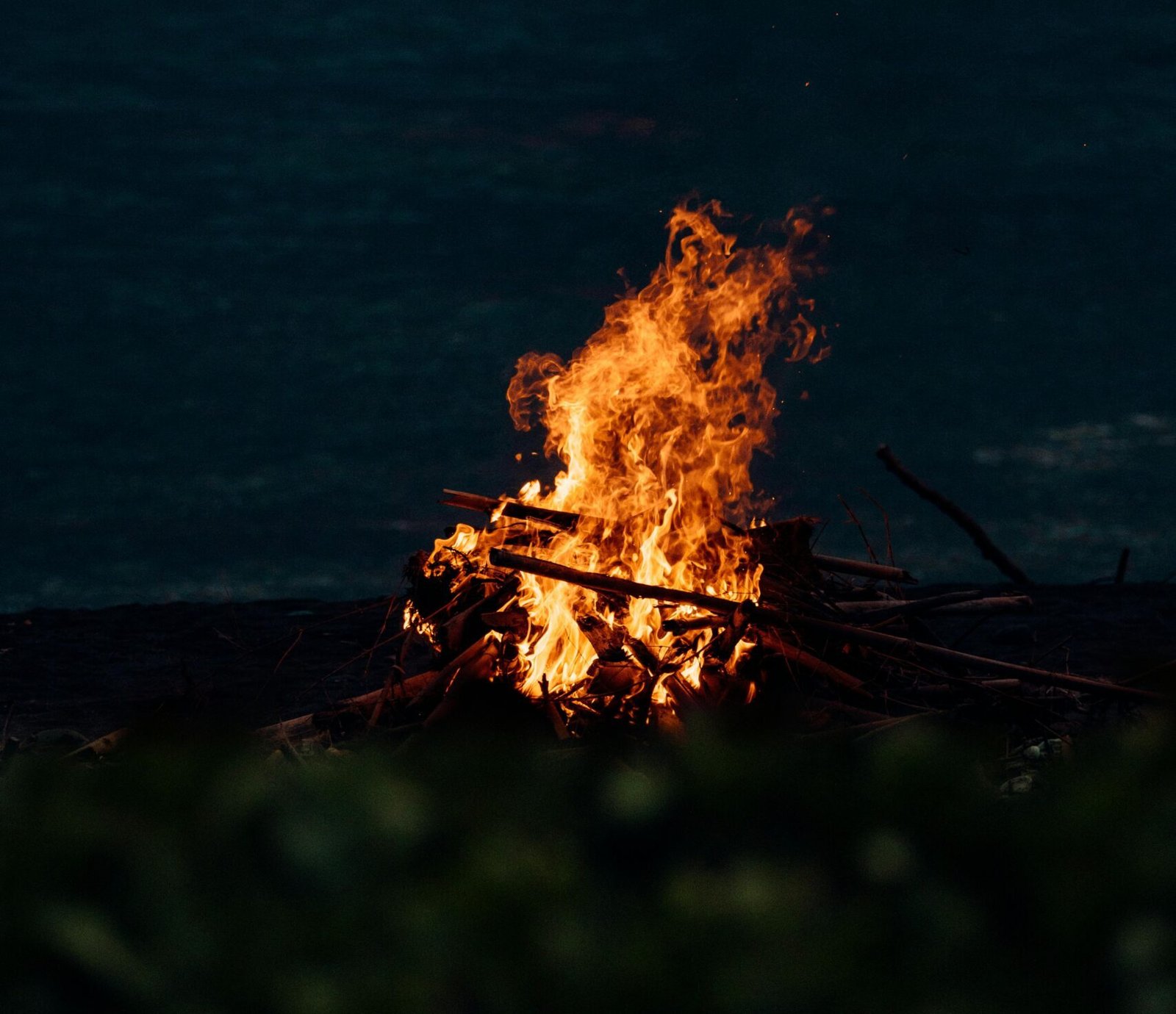 pexels oidonnyboy 6336384